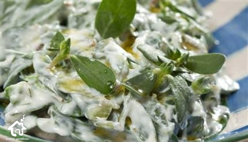 Yoğurtlu Semizotu Salatası Tarifi