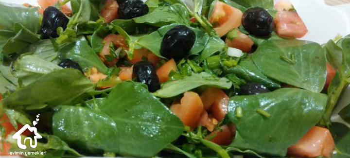 bakla-filizi-salatası