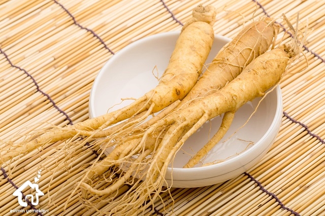 Ginseng (Adamotu) Bitkisinin Faydaları