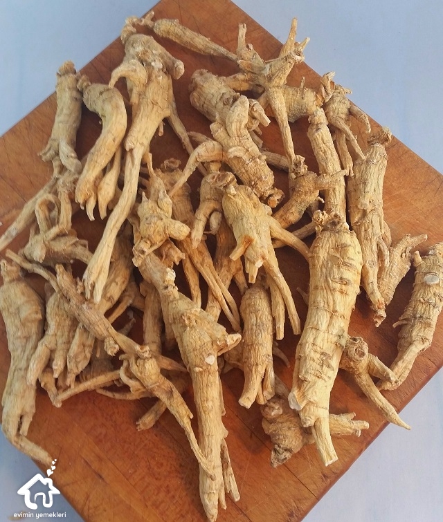 Ginseng (Adamotu) Bitkisinin Faydaları