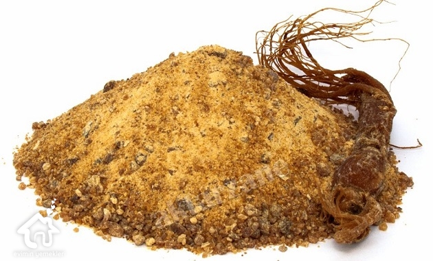 Ginseng (Adamotu) Bitkisinin Faydaları