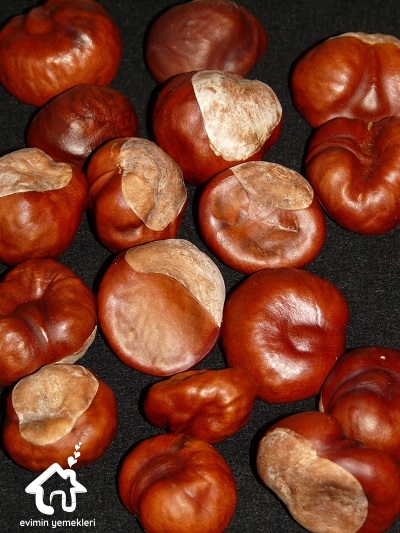 at kestanesinin faydaları