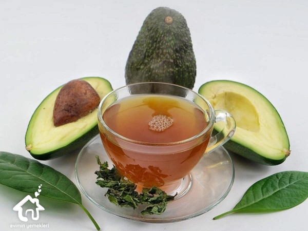 avokado yaprağı çayı