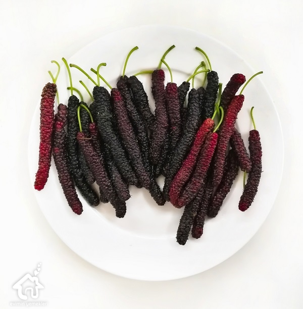 karadutun-mucizevi-faydalari
