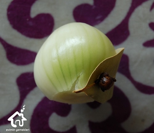Garnished Onion